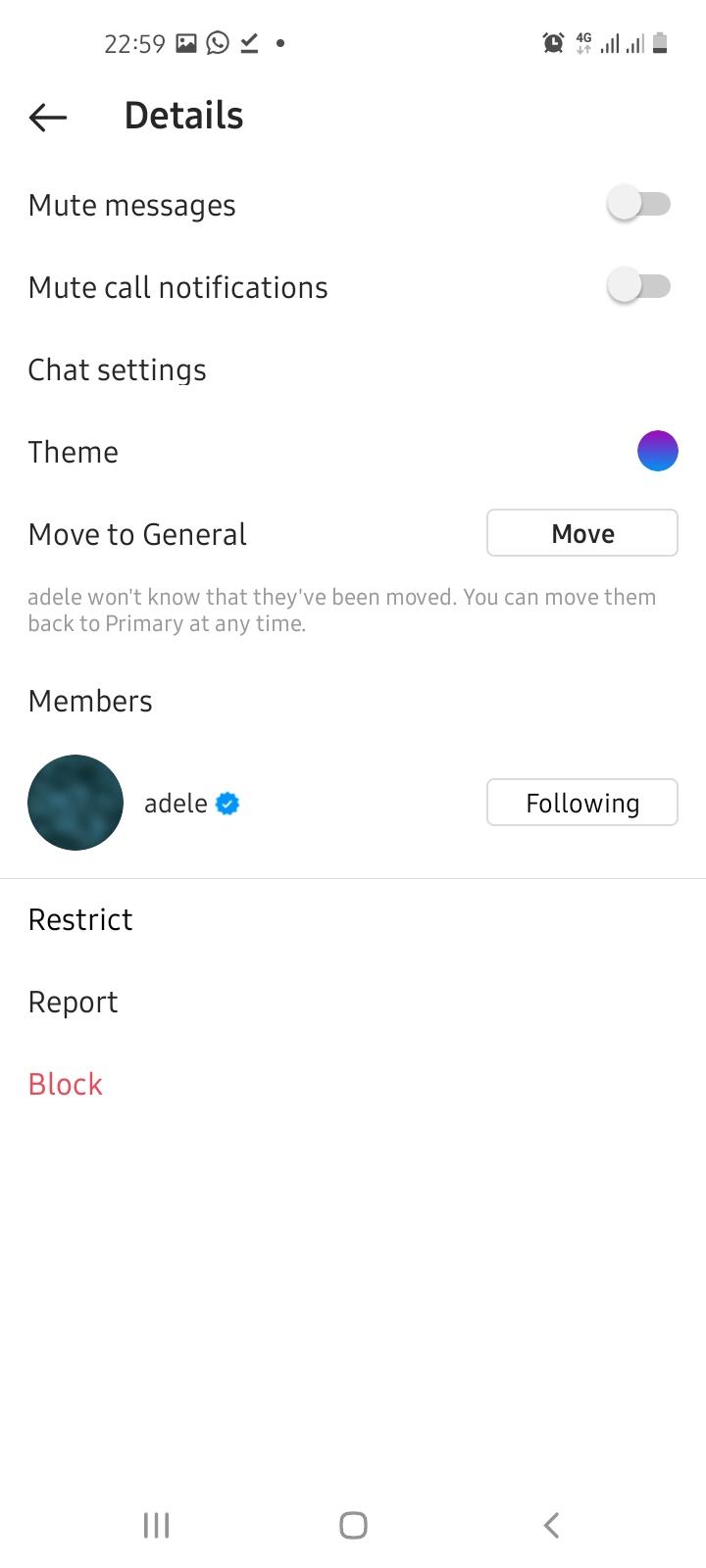 instagram theme option