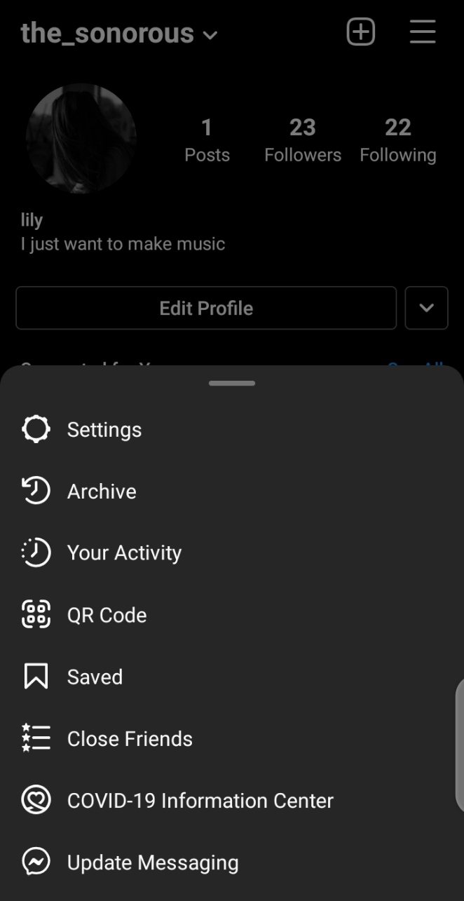 settings instagram